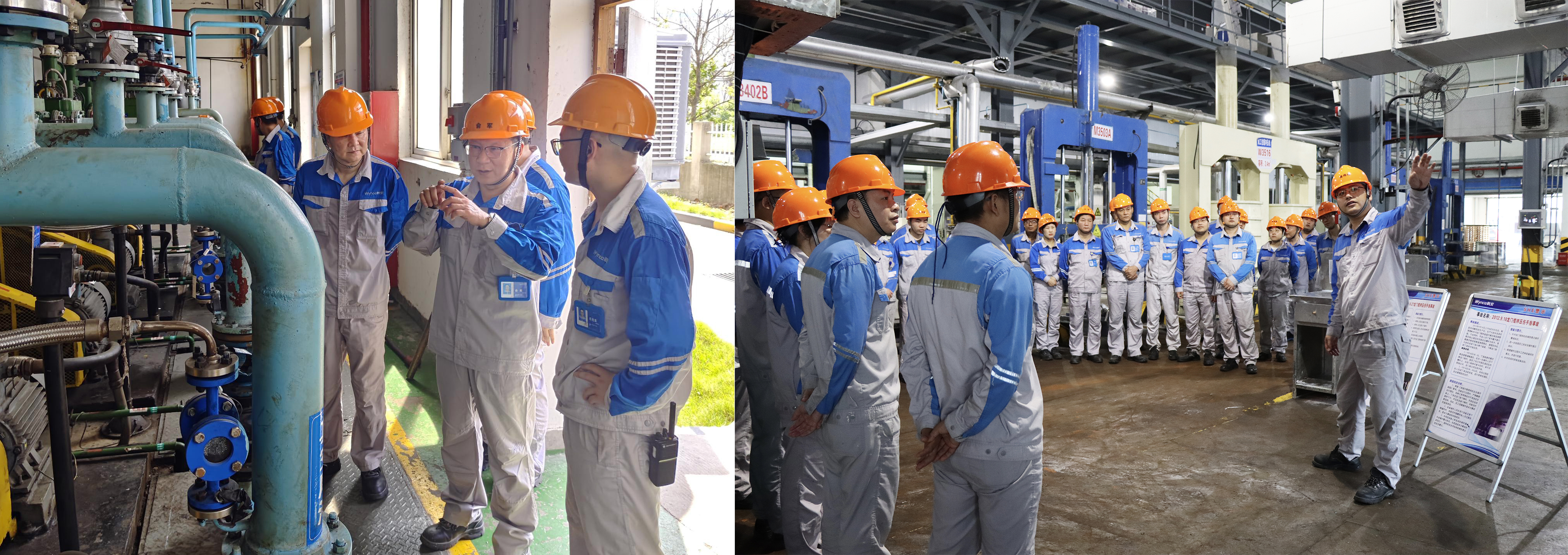 16909591187626331nup.jpg 16909591187626331nup.jpg