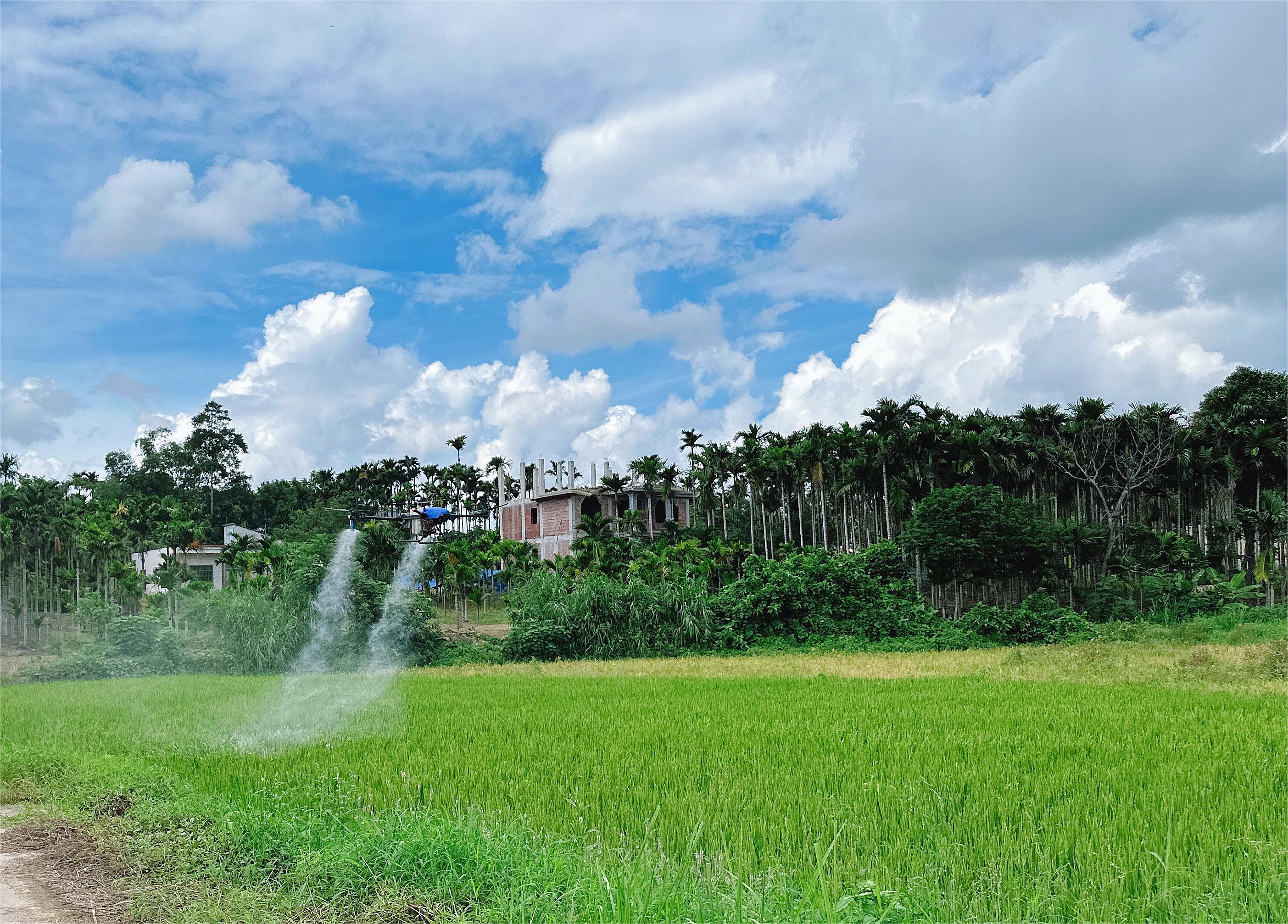 1698112365522065dgTj.jpg 1698112365522065dgTj.jpg