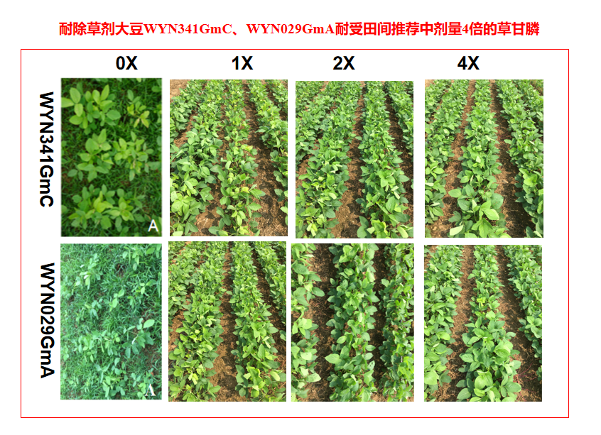 1710224087621363TpF8.png 1710224087621363TpF8.png