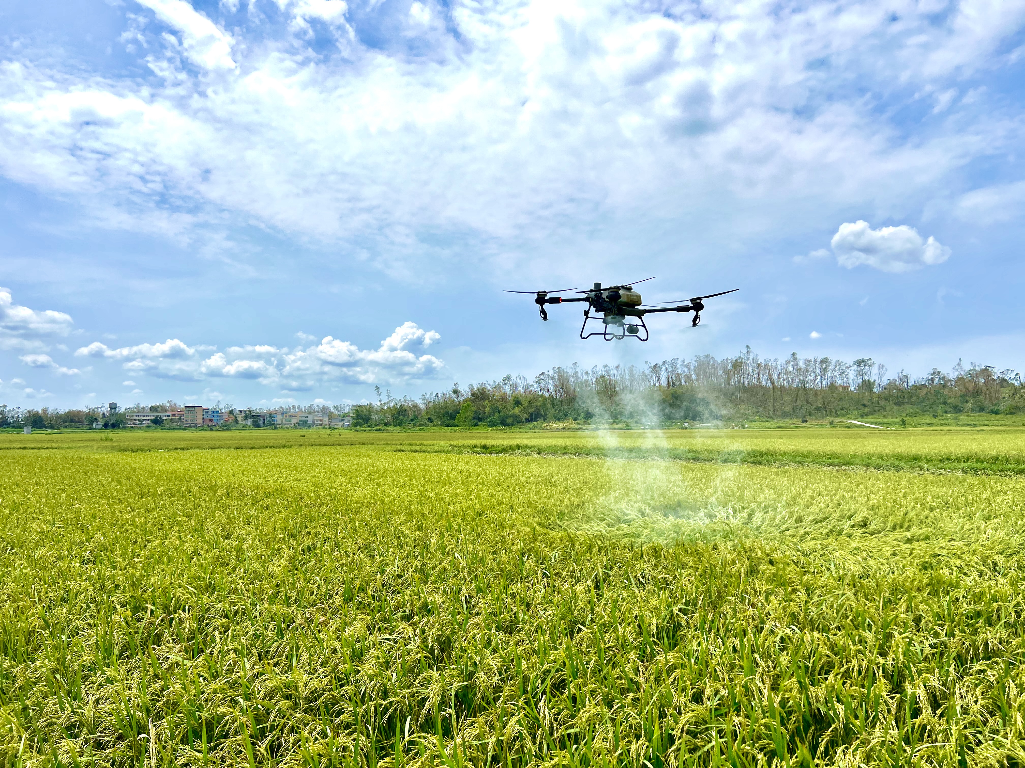 1727056413129364grAZ.jpg 1727056413129364grAZ.jpg