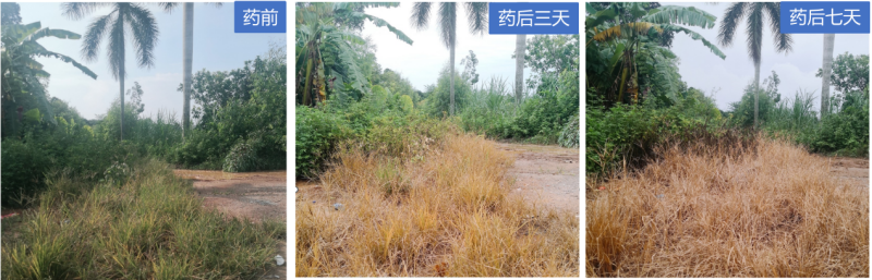 1754035832848089zhKn.png 图片1.png