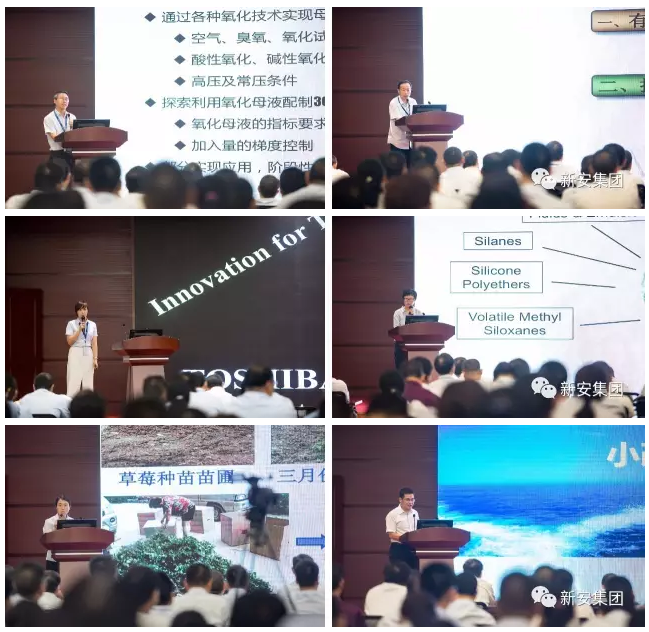 1499072820297749q7Sq.png 2.png